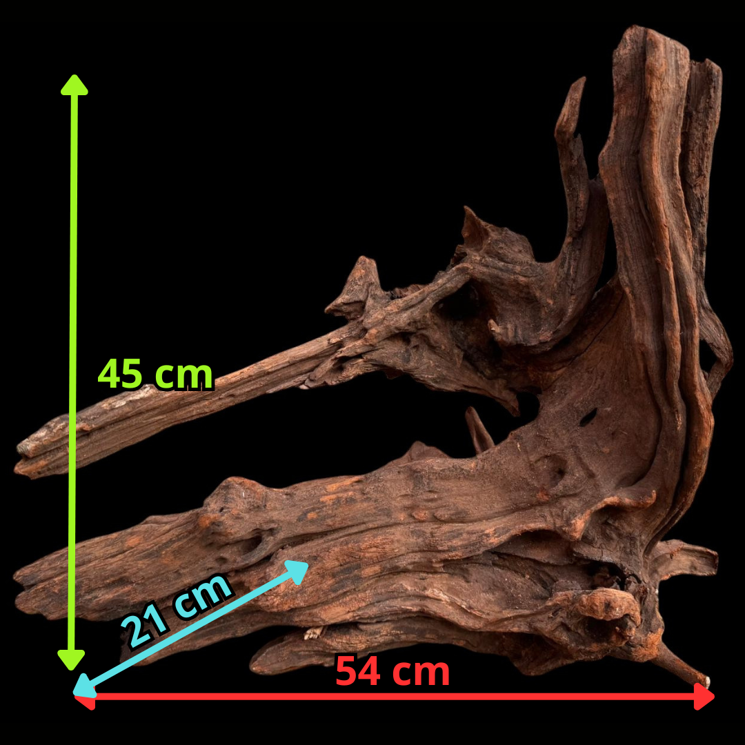 Drift Wood - 54*21*45 - cod.050 AQPET