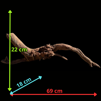 Drift Wood - 69*18*22 - cod.074 AQPET