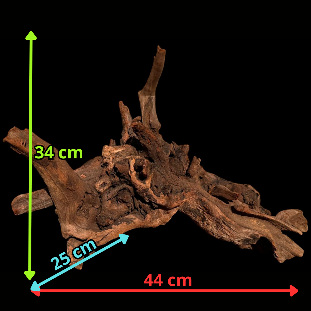 Drift Wood - 44*25*34 - cod.061