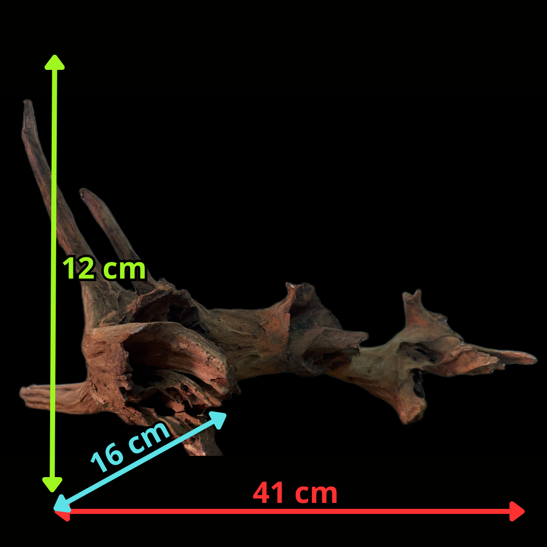 Drift Wood - 41*16*12 - cod.159 WHIMAR