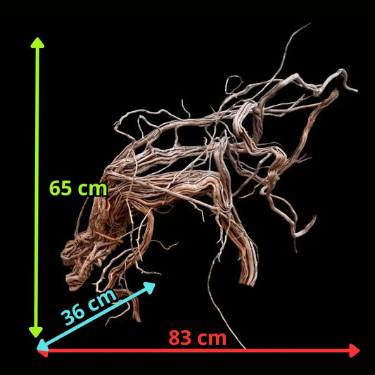 Azalea Roots - 83*36*65 - cod.043 AQPET