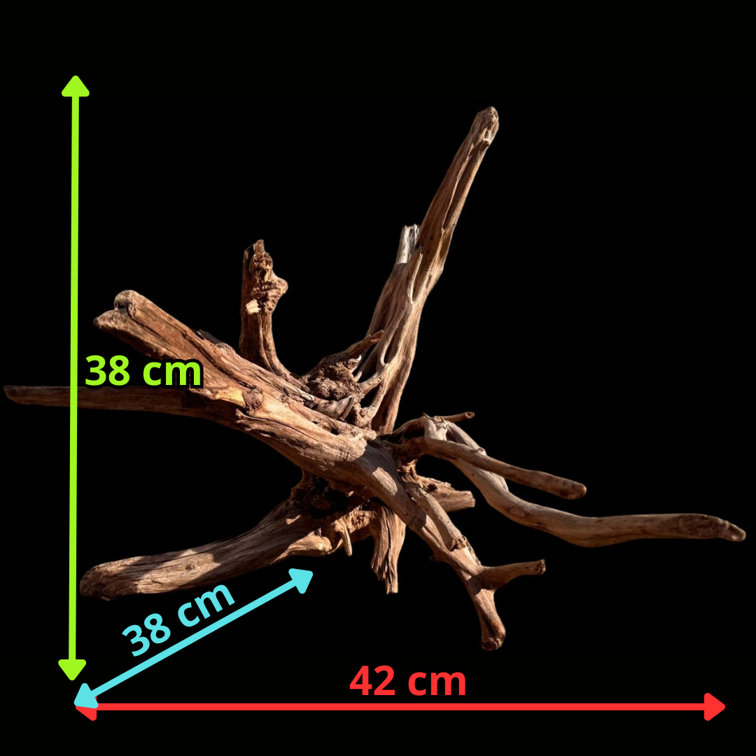 Drift Wood - 42*38*38 - cod.062