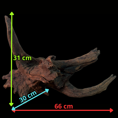 Drift Wood - 66*30*31 - cod.151 WHIMAR