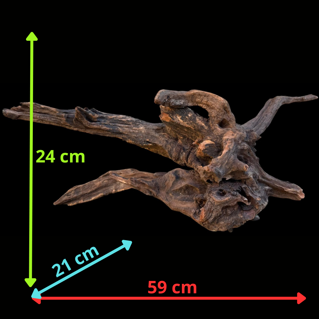 Drift Wood - 59*21*24- cod.087 AQPET