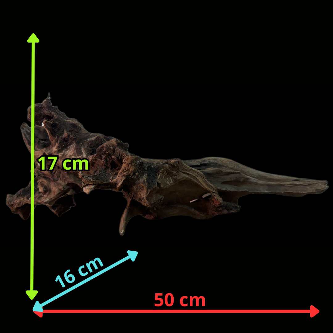 Drift Wood - 50*16*17 - cod.160 WHIMAR