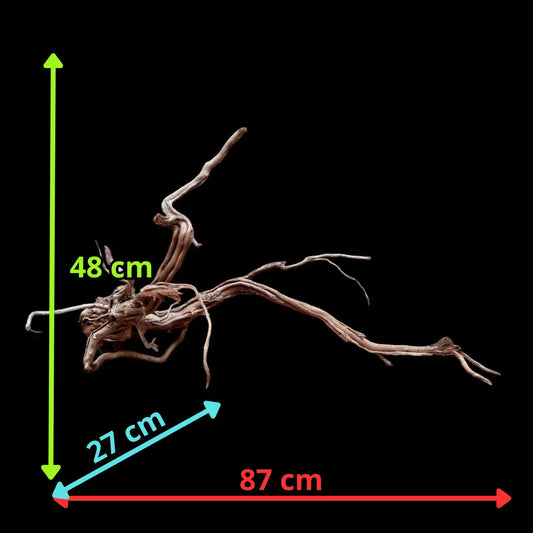 Azalea Roots - 87*27*48 - cod.039 AQPET