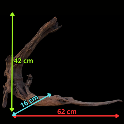 Drift Wood - 62*16*42- cod.088 AQPET