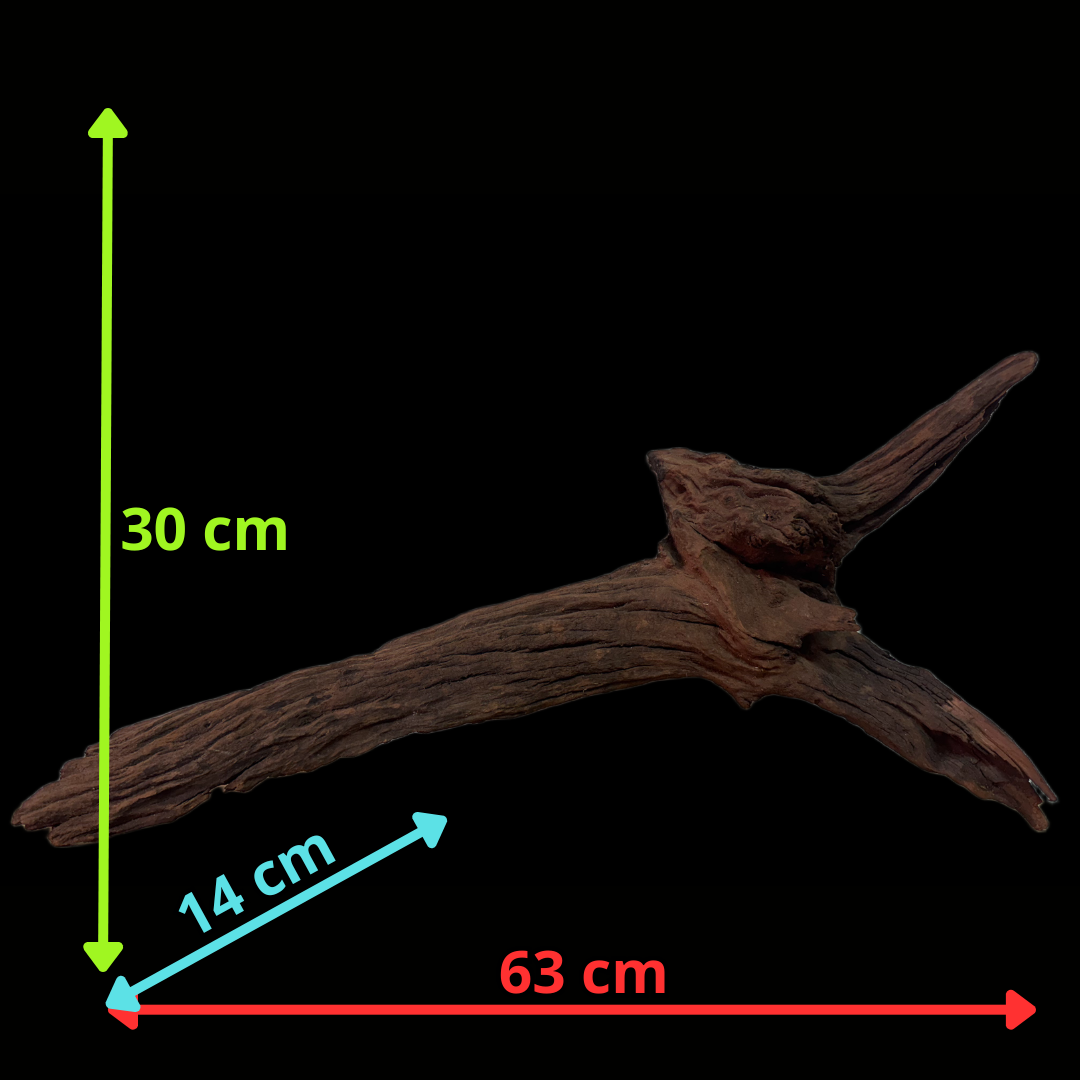 Drift Wood - 63*14*30 - cod.120 WHIMAR