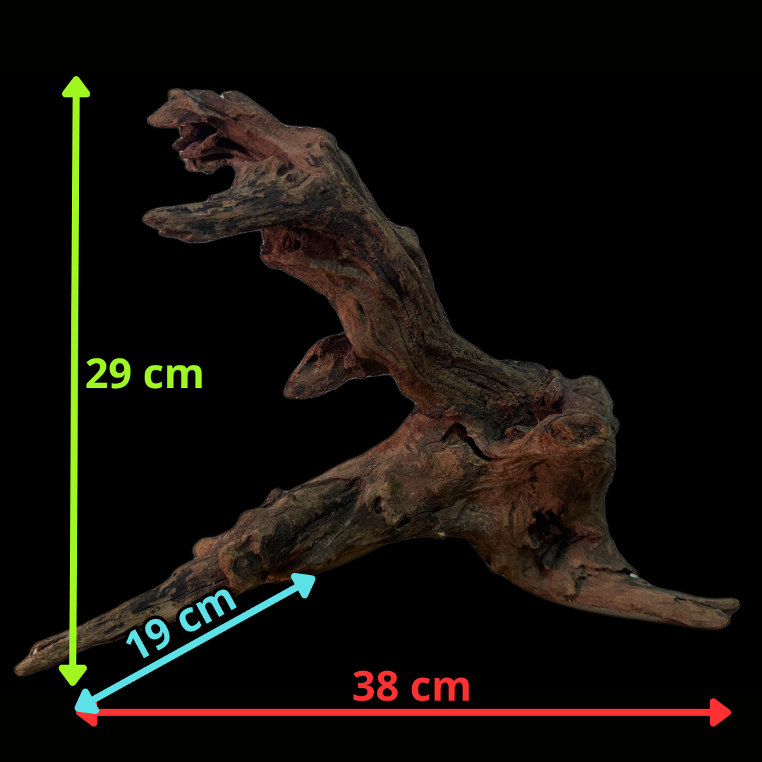 Drift Wood - 38*19*29 - cod.161 WHIMAR