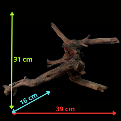 Drift Wood - 39*16*31 - cod.163 WHIMAR