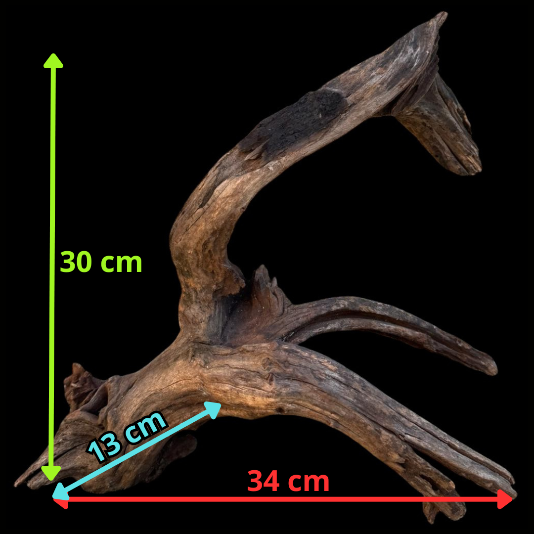 Drift Wood - 34*13*30- cod.089 AQPET