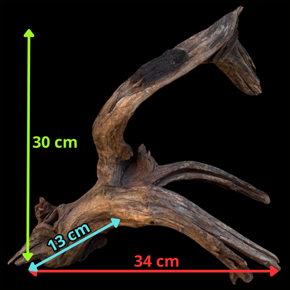 Drift Wood - 34*13*30- cod.089 AQPET