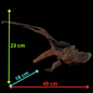 Drift Wood - 49*18*23 - cod.162 WHIMAR