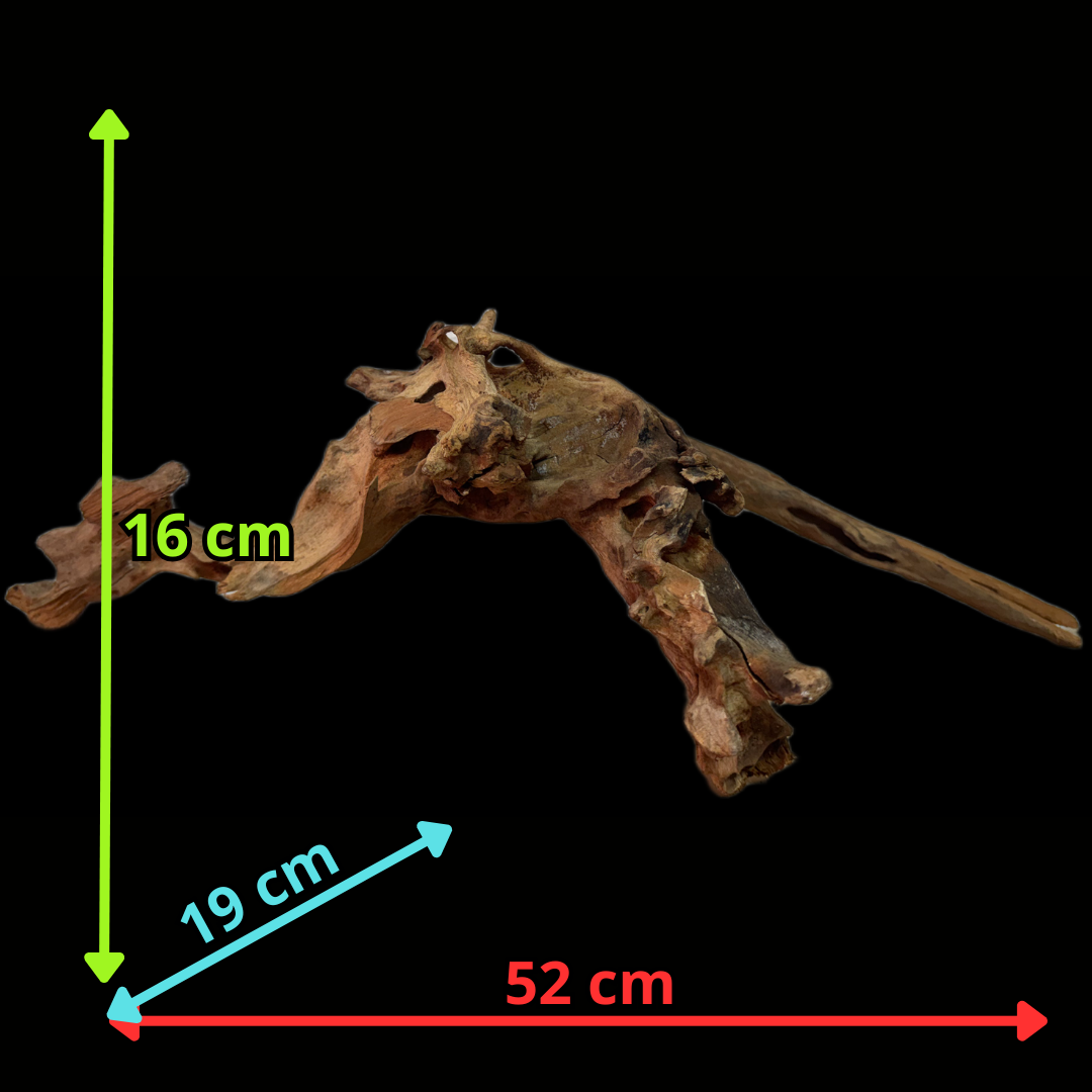Drift Wood - 52*19*16 - cod.121 WHIMAR