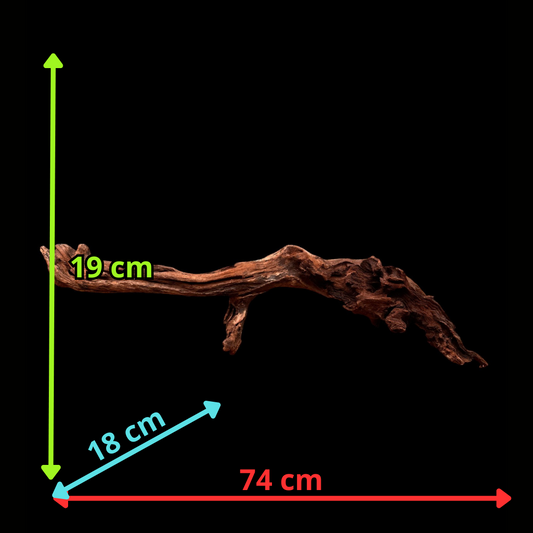 Drift Wood - 74*18*19 - cod.041