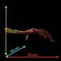 Drift Wood - 74*18*19 - cod.041