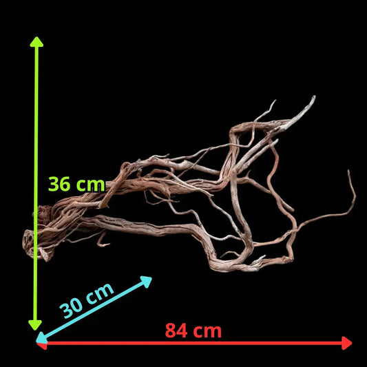 Azalea Roots - 83*36*65 - cod.043 AQPET