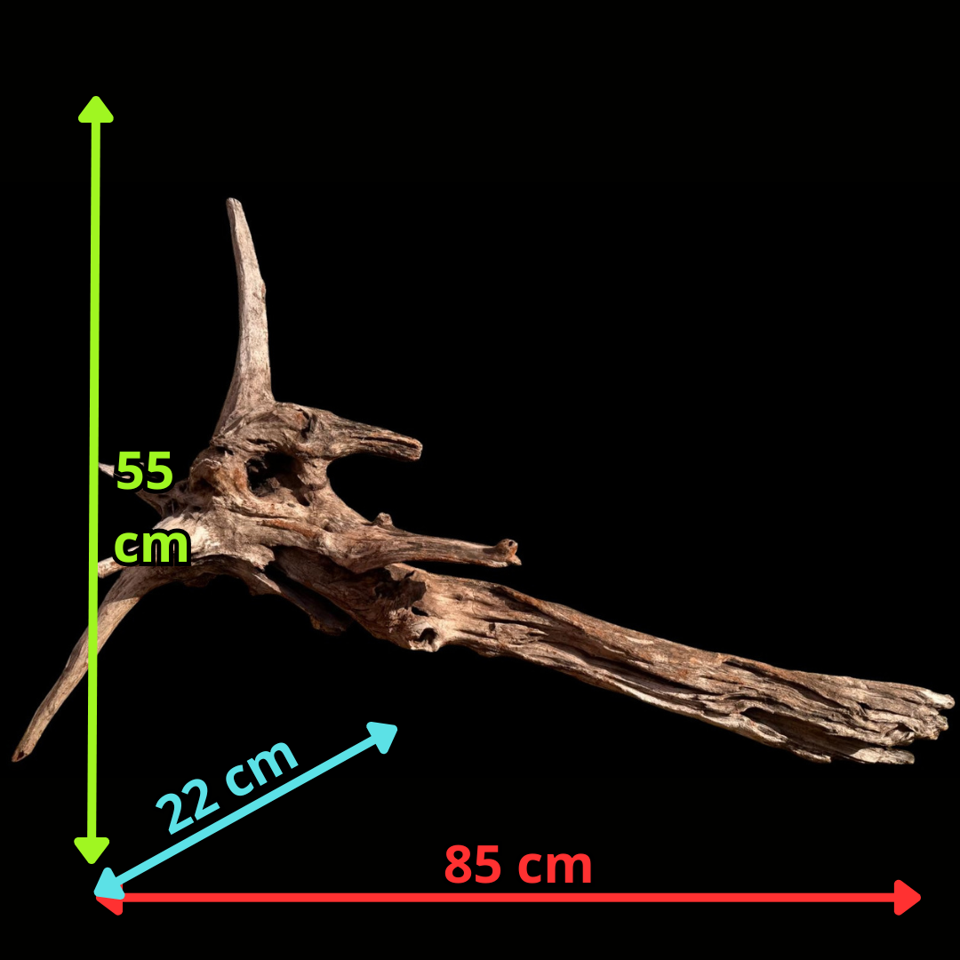 Drift Wood - 85*22*55 - cod.055