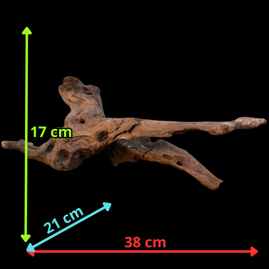 Drift Wood - 38*21*17 - cod.080 AQPET