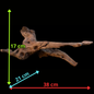 Drift Wood - 38*21*17 - cod.080 AQPET