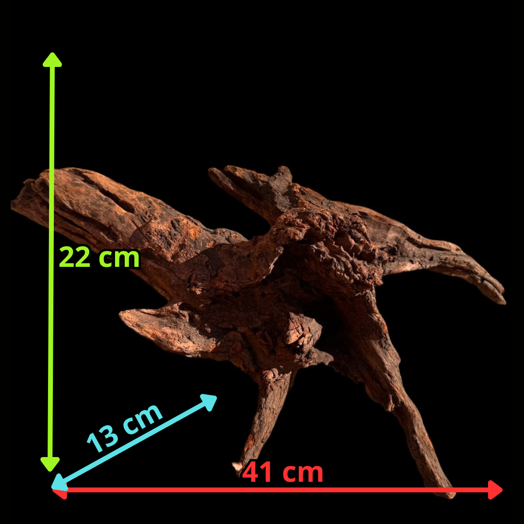Drift Wood - 41*13*22 - cod.064