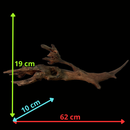 Drift Wood - 62*10*19 - cod.140 WHIMAR