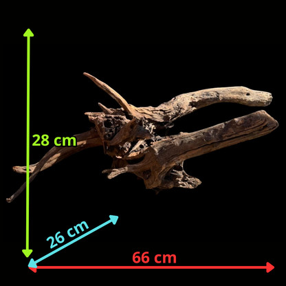Drift Wood - 66*26*28 - cod.069 AQPET