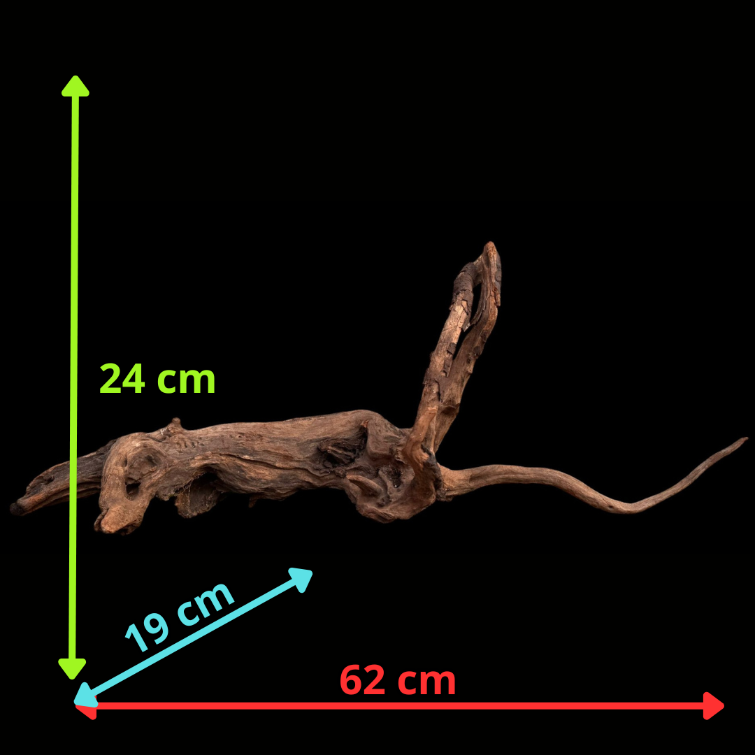 Drift Wood - 62*19*24 - cod.044 AQPET