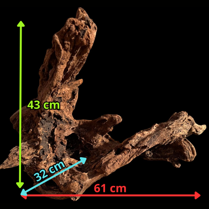 Drift Wood - 61*32*43 - cod.053