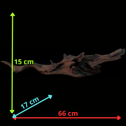 Drift Wood - 66*17*15 - cod.153 WHIMAR
