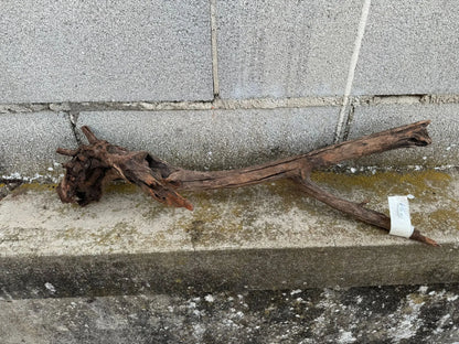 Drift Wood - 65*20*20 AQPET