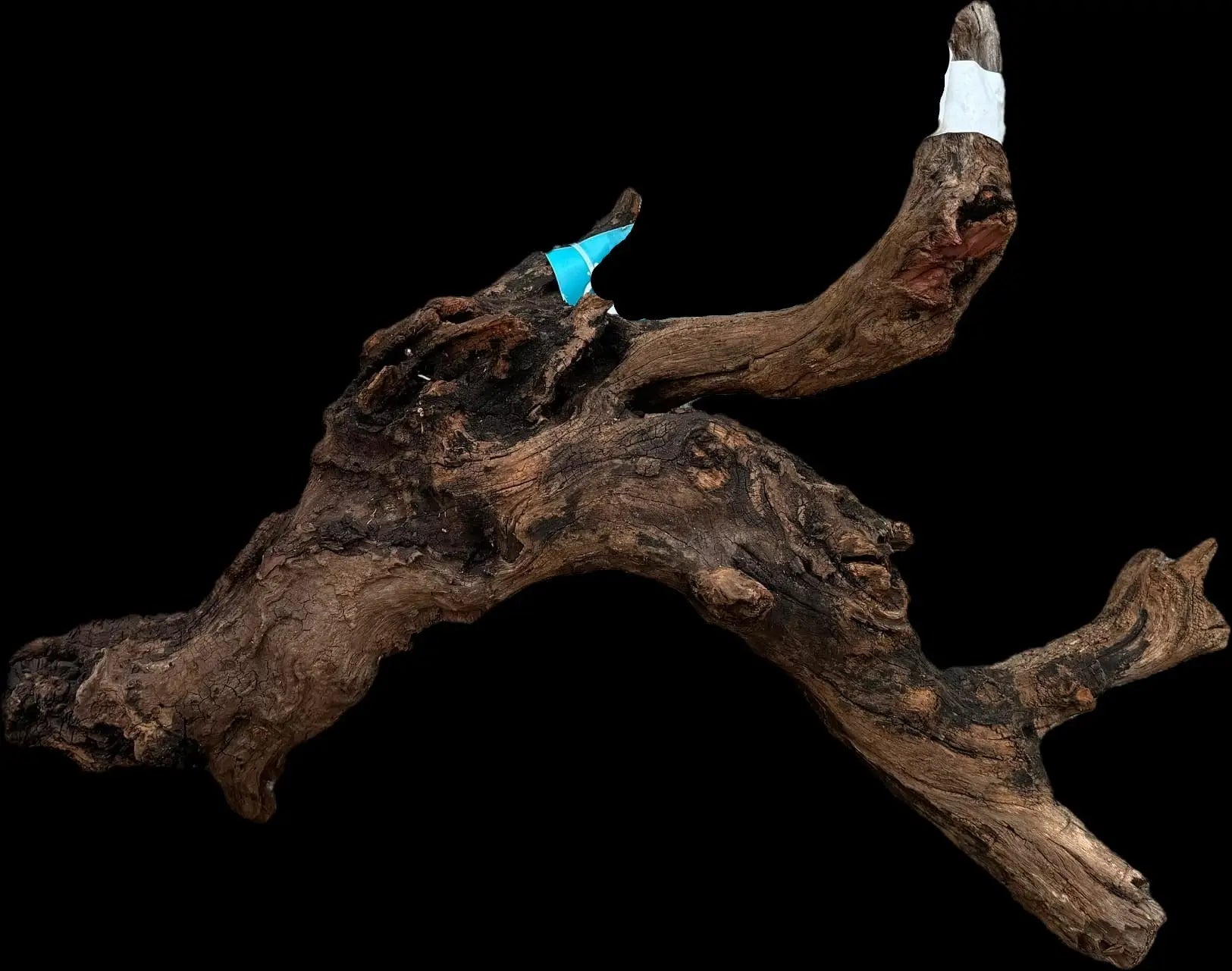 Drift Wood - 55*15*40 AQPET