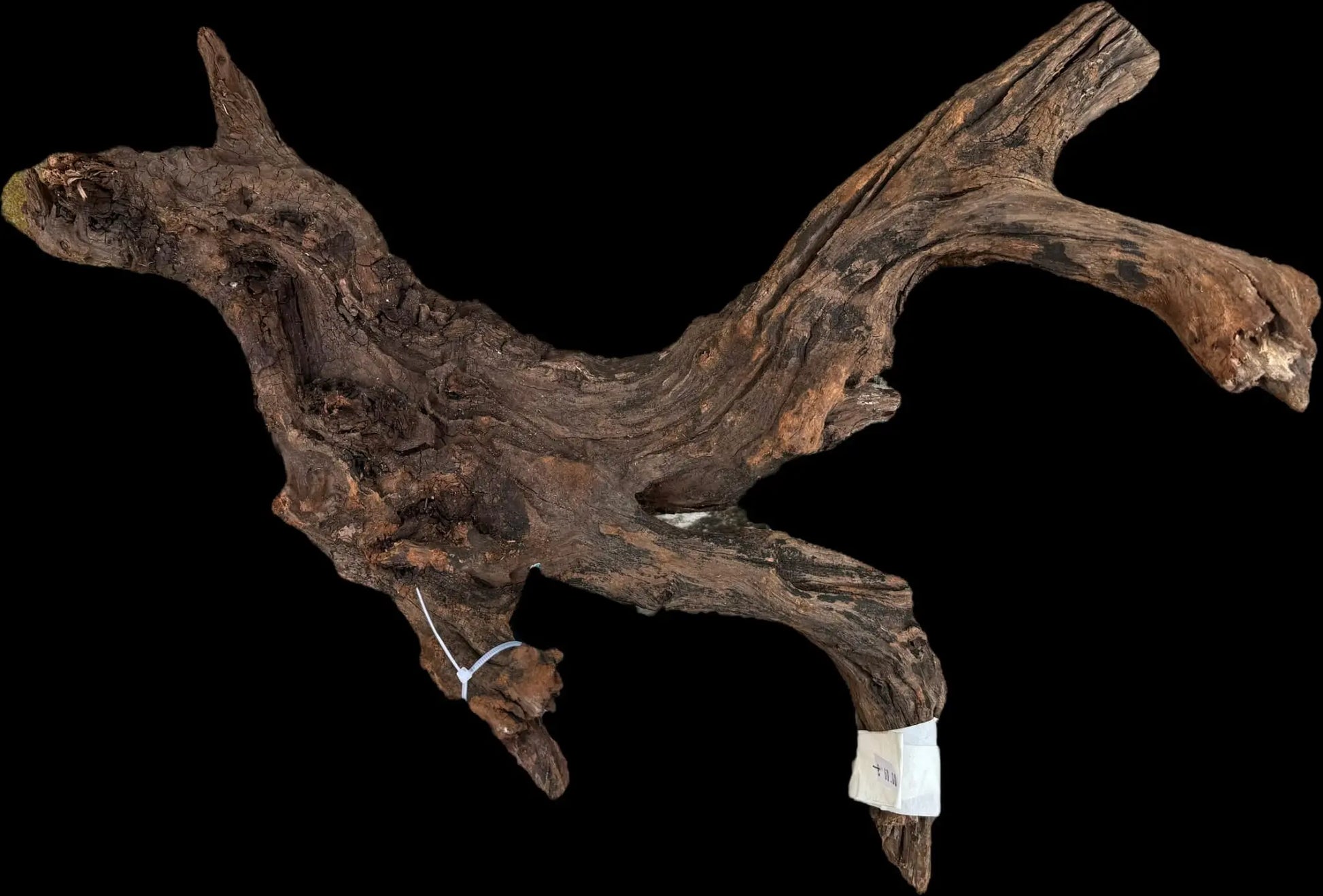 Drift Wood - 55*15*40 AQPET