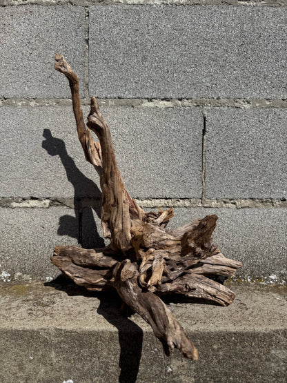 Drift Wood - 38*32*42 - cod.112 AQPET