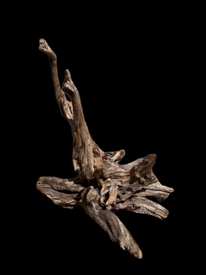 Drift Wood - 38*32*42 - cod.112 AQPET