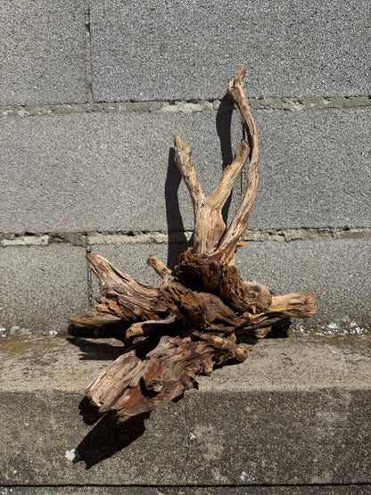 Drift Wood - 38*32*42 - cod.112 WHIMAR