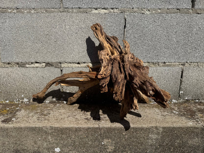 Drift Wood - 38*32*42 - cod.112 WHIMAR