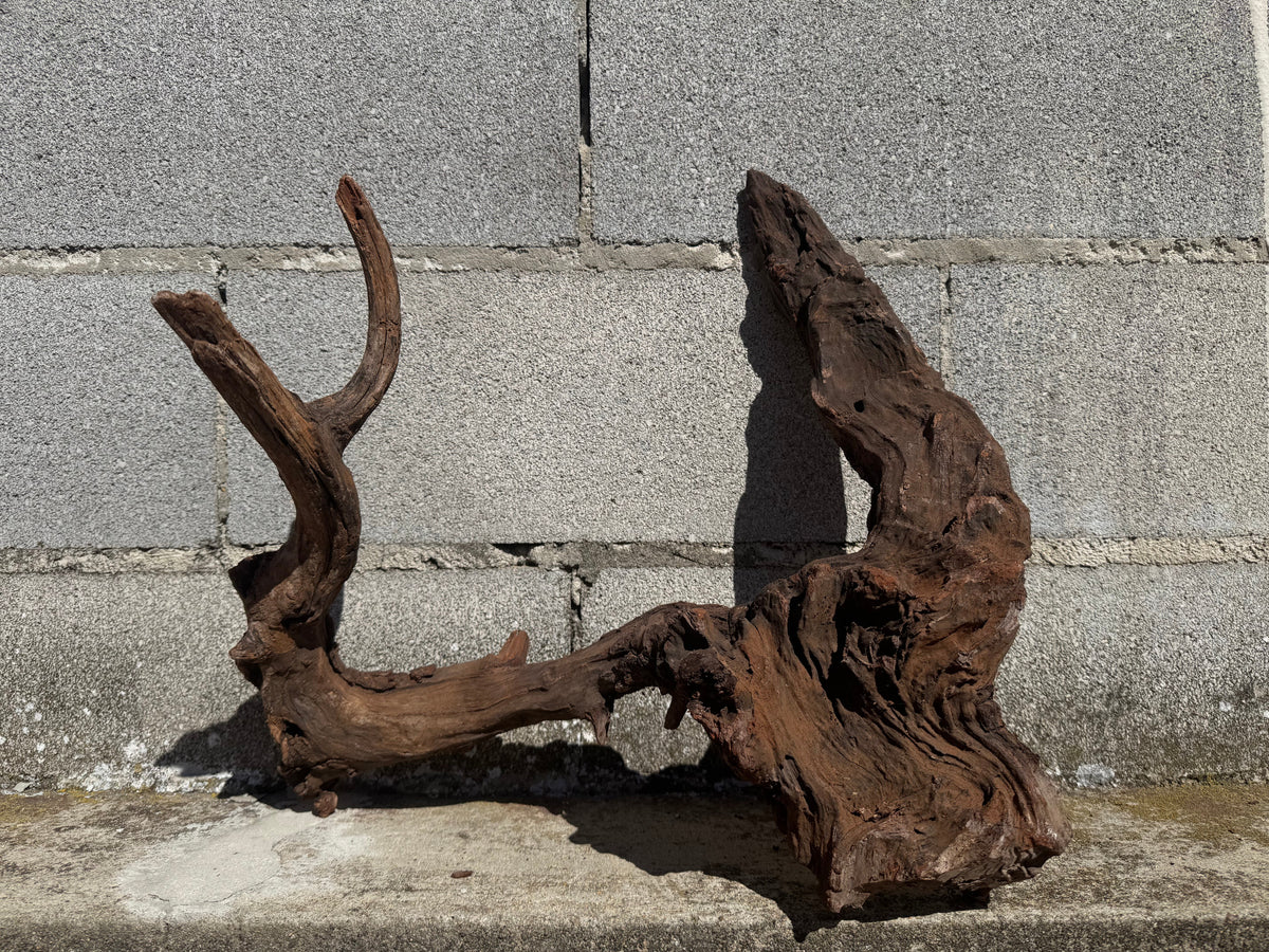 Drift Wood - 48*25*42 - cod.113 WHIMAR