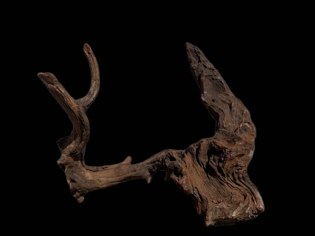 Drift Wood - 48*25*42 - cod.113 WHIMAR