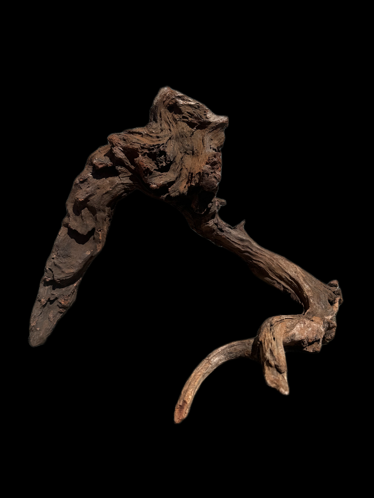 Drift Wood - 48*25*42 - cod.113 WHIMAR