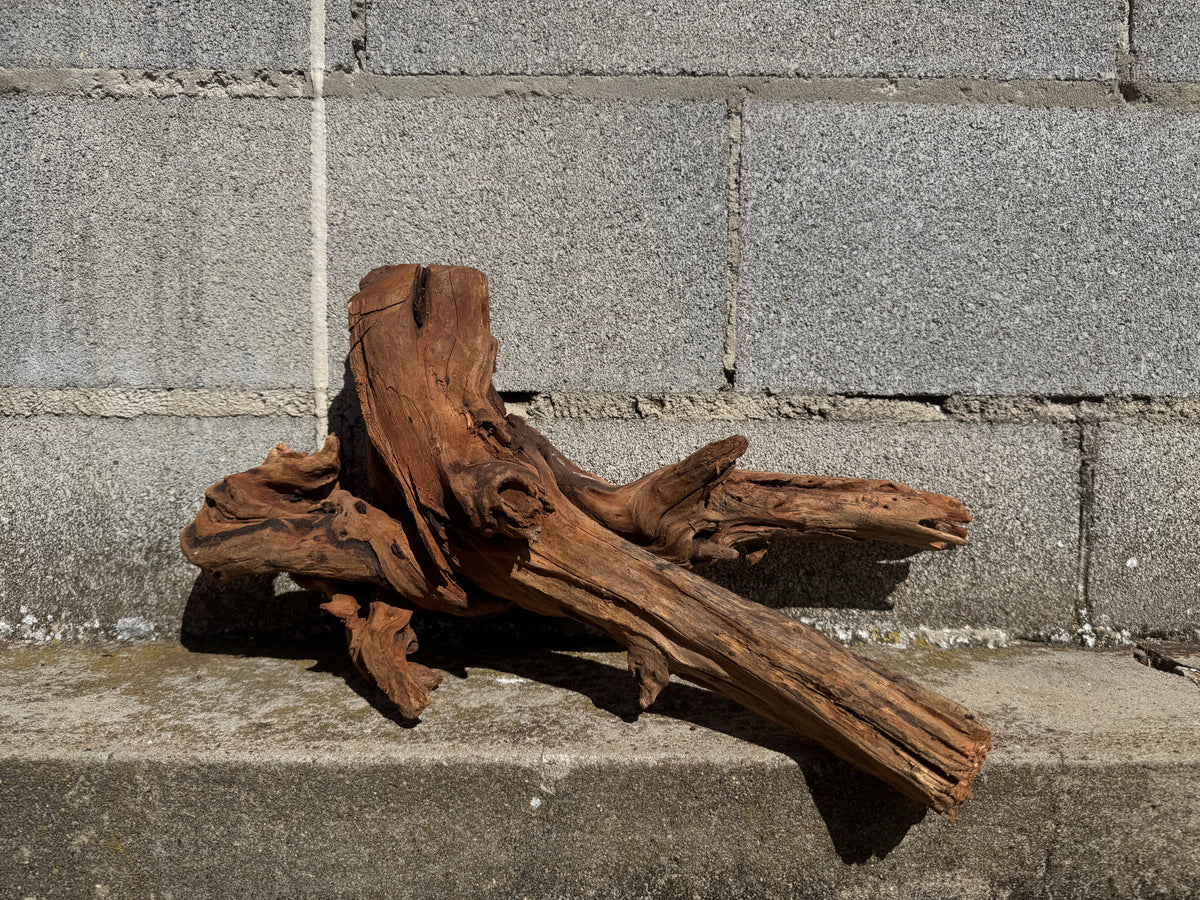 Drift Wood - 50*24*25 - cod.114 WHIMAR