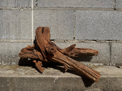 Drift Wood - 50*24*25 - cod.114 WHIMAR