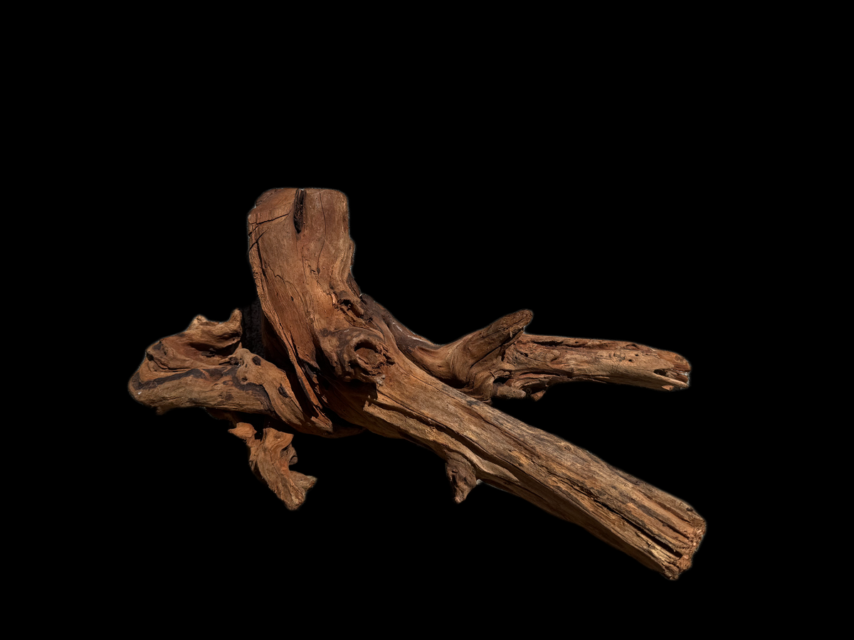 Drift Wood - 50*24*25 - cod.114 WHIMAR