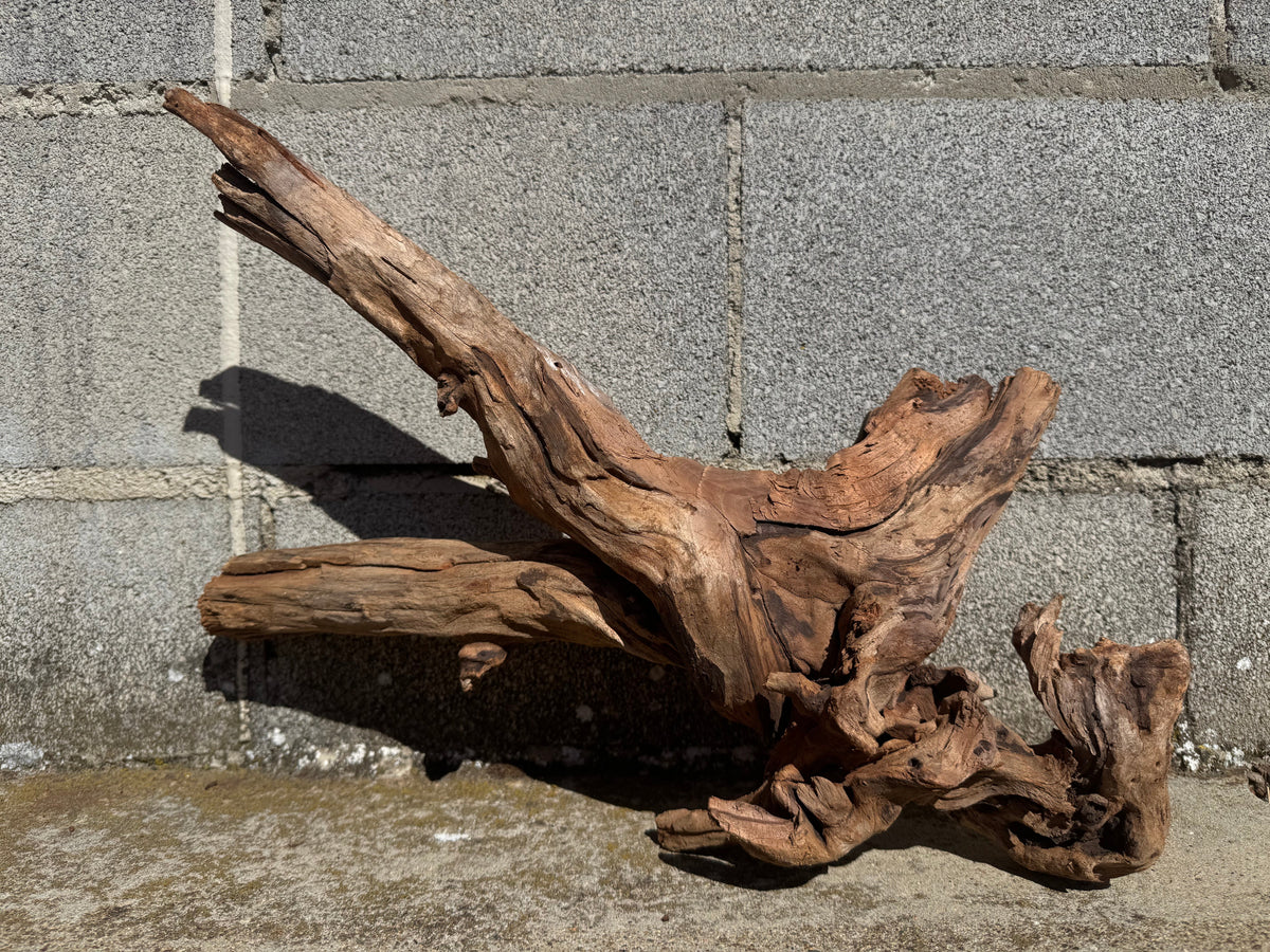 Drift Wood - 50*24*25 - cod.114 WHIMAR