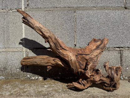 Drift Wood - 50*24*25 - cod.114 WHIMAR