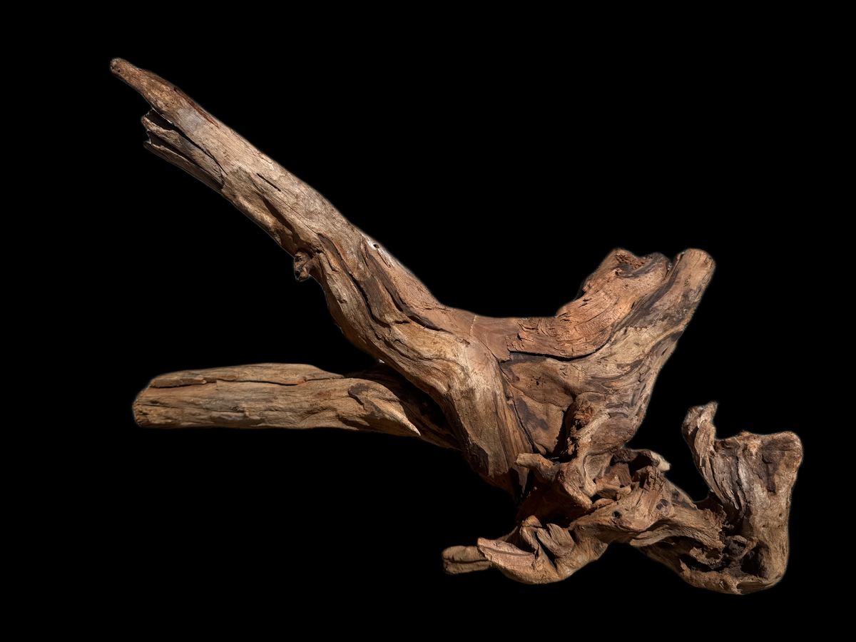 Drift Wood - 50*24*25 - cod.114 WHIMAR