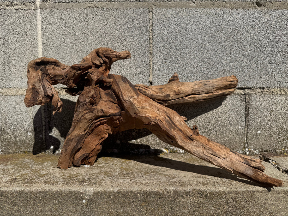 Drift Wood - 50*24*25 - cod.114 WHIMAR