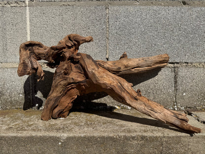 Drift Wood - 50*24*25 - cod.114 WHIMAR