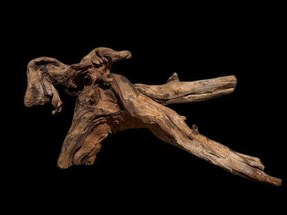 Drift Wood - 50*24*25 - cod.114 WHIMAR
