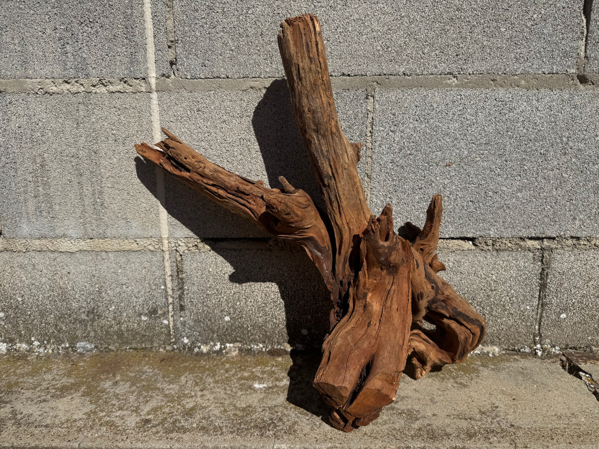 Drift Wood - 50*24*25 - cod.114 WHIMAR